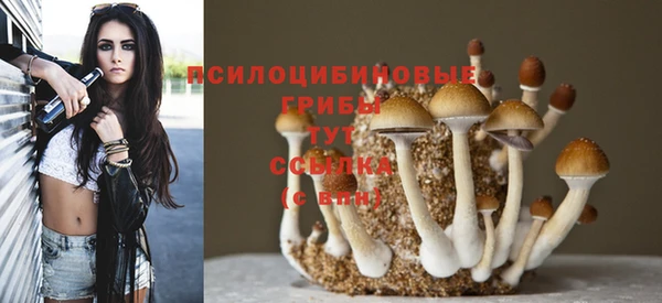 ALPHA-PVP Армянск