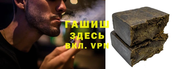 хмурый Алексин