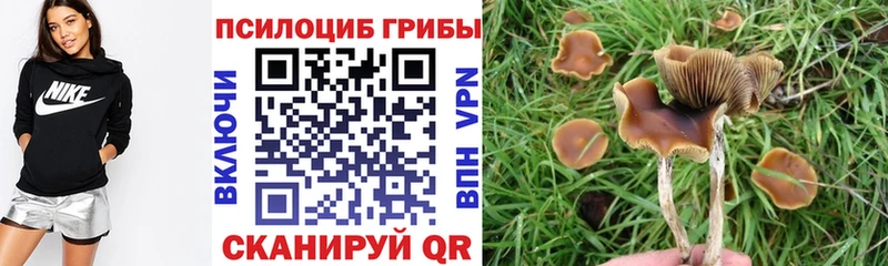 Галлюциногенные грибы MAGIC MUSHROOMS  купить закладку  Каневская 