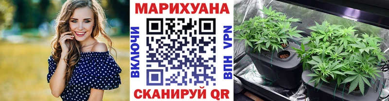 Конопля SATIVA & INDICA Каневская